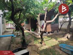 ขายบ้านเดี่ยว หมู่บ้านพรทวี บ้านวิวสวน พุทธมณฑลสาย 5 นครปฐม-202501281555021738054502697.jpg