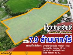 ขายที่ดิน ติดถนนหลักงิ้วราย อำเภอนครชัยศรี 7.9ล้าน/ไร่ เดินทางสะดวกสบาย น้ำไม่ท่วม ทำเลเหมาะทำหมู่บ้านจัดสรร หรือโรงงาน