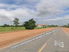 ขายที่ดิน 16 ไร่ 1 งาน 25 ตร.วา. ใกล้อบต.ขุนทอง หมู่บ้านดอนคนทา-202501311028201738294100409.jpg