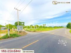 ที่ดินสามชุก 200 ตร.ว. สุพรรณบุรี ใกล้วัดสระพลอย-202502051216321738732592490.jpg