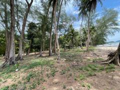 ขายที่ดินสวยริมหาด จ.ตราด 39 ไร่ พึ่งสร้างถนนภายในใหม่ เดินทางสะดวก เหมาะทำรีสอร์ท บ้านพัก Beautiful land for sale on the beach in Trat Province 出售位于达叻府海滩的美丽土地，39 莱 新建内部道路，交通便利，适合度假村、房屋，拥有 600 多个果园，随时可以收获，绝对可观的利润，地理位置优越 详情-202502091613021739092382844.jpeg