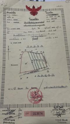 ขายที่ดินตำบลหนองทะเล อำเภอเมือง จังหวัดกระบี่ เนื้อที่ 4 ไร่ 1 งาน 76 ตารางวา