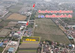 ขายที่ดิน ซอยวัดไพร่ฟ้า ถนนราชพฤกษ์ 346 บางเดื่อ ปทุมธานี-202502191706381739959598101.jpg