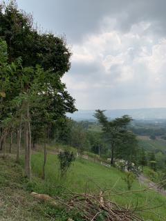 ขาย/ให้เช่า ที่ดินมีโฉนด บนเนินเขา แปลงสวยที่สุดของโครงการ The Peak at Khao Kho