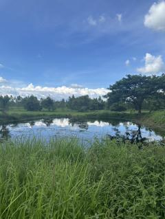  ขายที่ดินพร้อมบ้าน เจ้าของขายเอง ตำบลไร่น้อย อำเภอเมืองอุบลราชธานี อุบลราชธานี-202502262135291740580529596.jpg