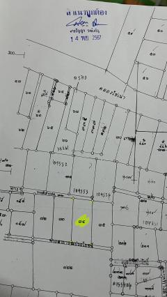 ที่ดินพร้อมบ้านเก่า กลางเมืองพิษณุโลก ถูกมากๆ ที่ดินเยอะ 126 ตรว. ขายแค่ 1.35 ล้านบาท-202502270830291740619829231.jpg