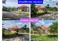 ขายที่สวนปาล์ม+ทุเรียน+พร้อมบ้าน ในทต.ท่าขนอน อ.คีรีรัฐนิคม จ.สฎ.-202502280951361740711096172.jpg