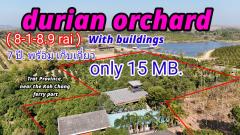 ขายสวนทุเรียนหมอนทองแถม บ้าน  ขนาดใหญ่ (เนื้อที่ 8-1-8.9 ไร่.) ต.เทพนิมิต  อ.เขาสมิง จ.ตราด